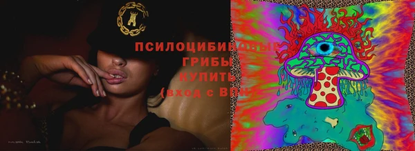 стафф Заволжск