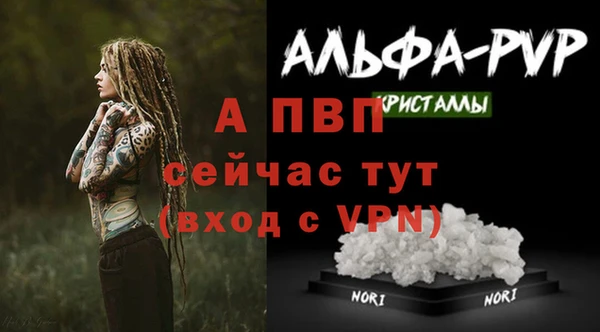 скорость mdpv Елизово