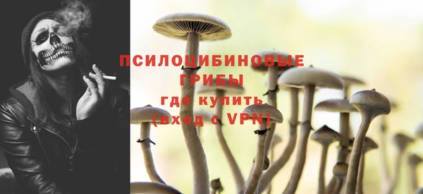 стаф Россошь