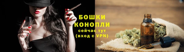 дмт Рославль