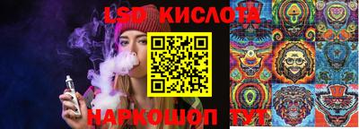 винт Берёзовский