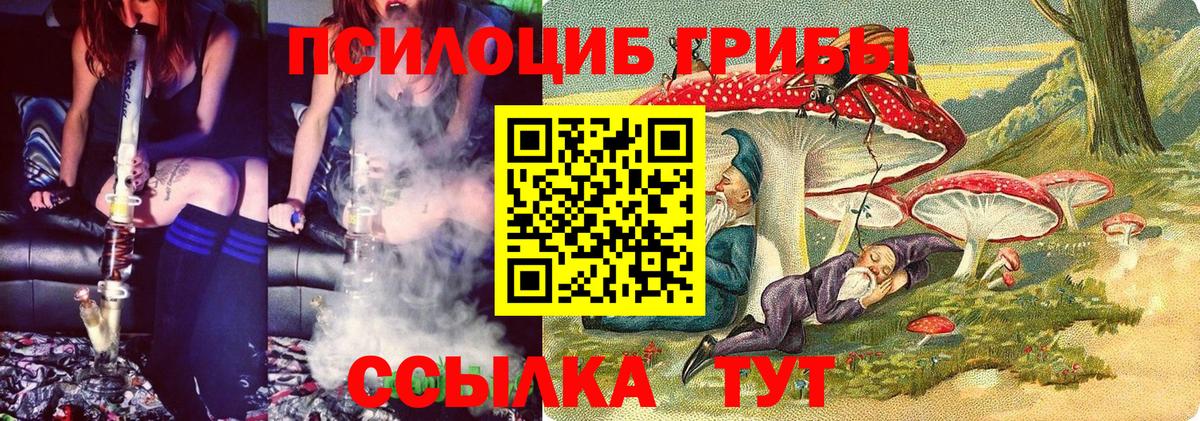 Псилоцибиновые грибы Psilocybine cubensis  Звенигород 