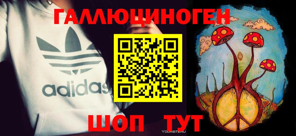 Галлюциногенные грибы Cubensis  Вход с VPN  Звенигород 