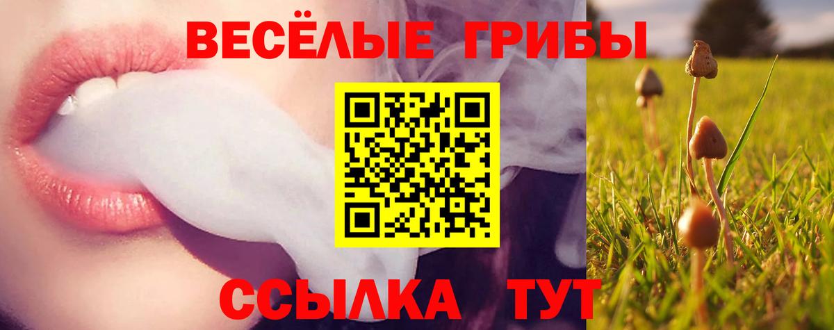 Псилоцибиновые грибы GOLDEN TEACHER Звенигород