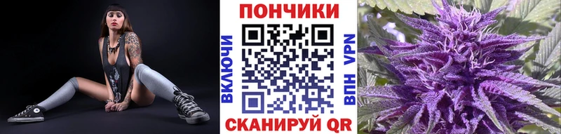 Конопля индика  Звенигород 