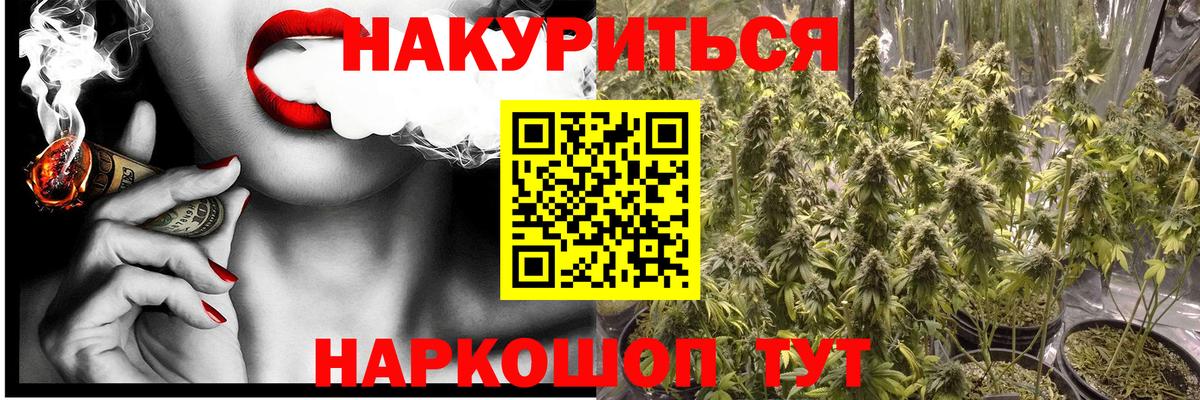 Звенигород  Бошки Шишки семена  Канабис AK-47  Бошки Шишки план  Вход с VPN  Конопля THC 21% 